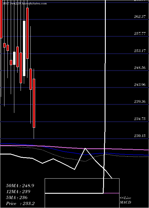  monthly chart CeigallIndia