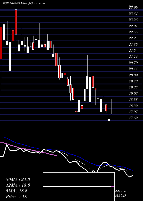  Daily chart NeopolitanPizza