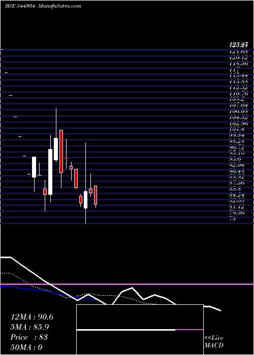  Daily chart JungleCamps