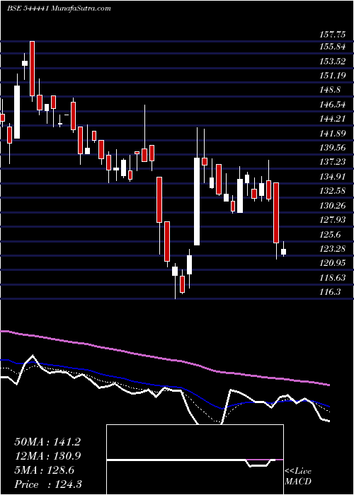  Daily chart MetaInfotech