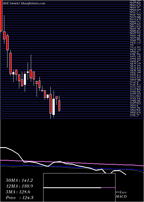  weekly chart MetaInfotech