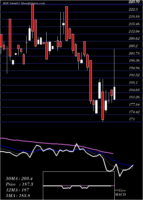  Daily chart EuroPanel