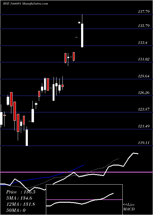  Daily chart ChoiceMutual