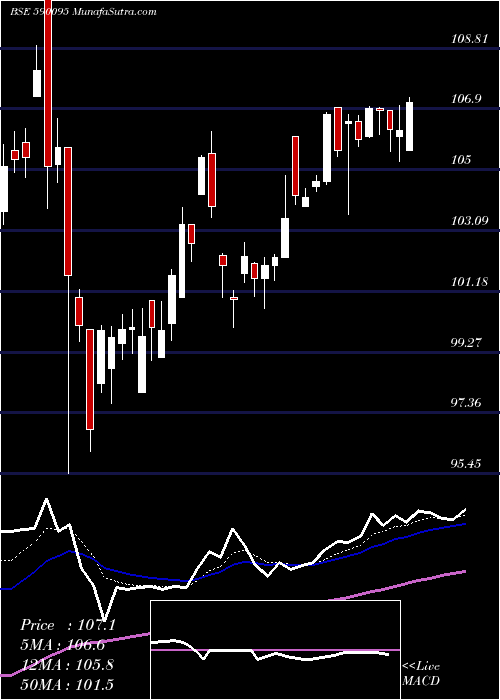  Daily chart GOLDBEES