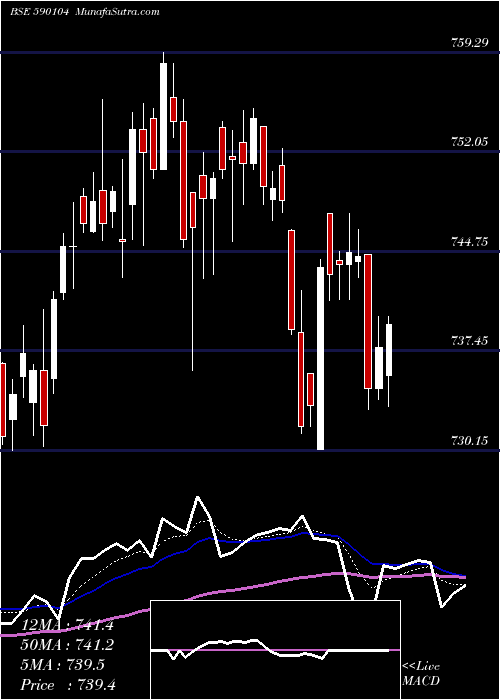  Daily chart Juniorbees