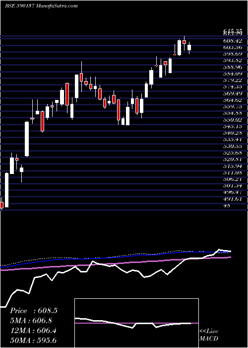  weekly chart Setfnifbk