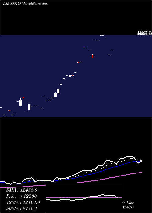  Daily chart SGBNOV25A