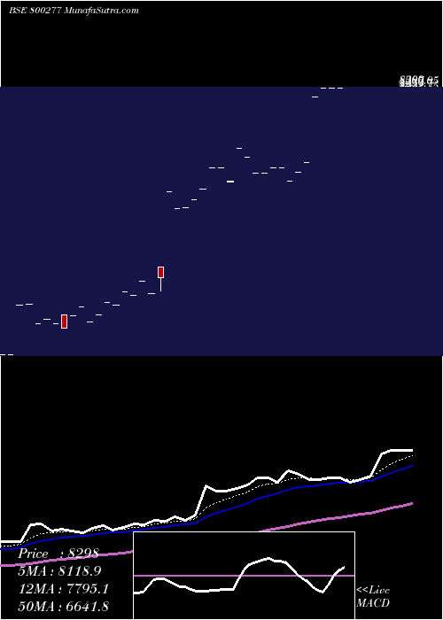  Daily chart Sgbnov25c