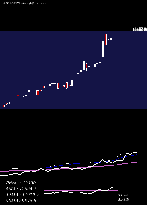  weekly chart Sgbdec25a