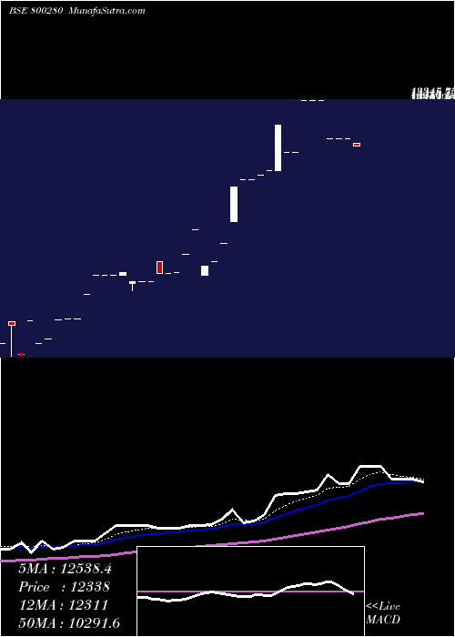 Daily chart Sgbdec25b
