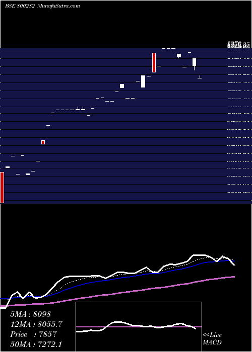  Daily chart SGBJAN26