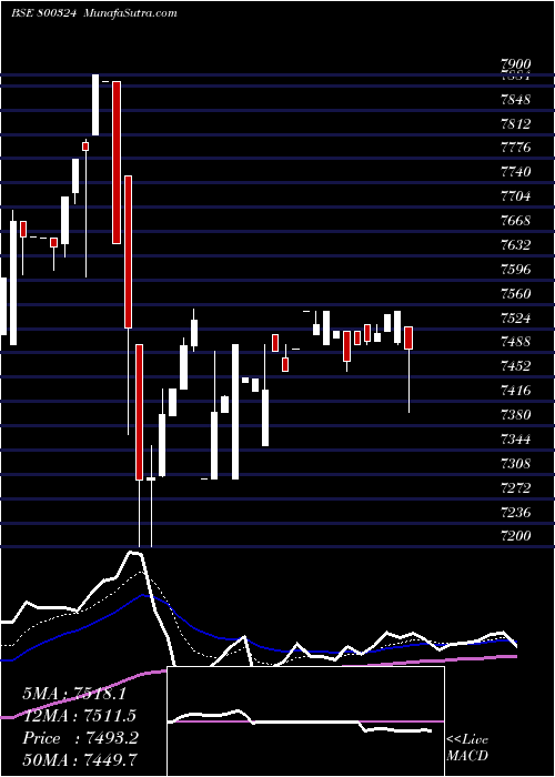  Daily chart SGBJULY28