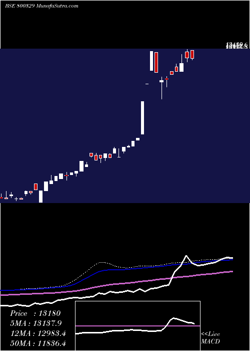  weekly chart Sgbnov28