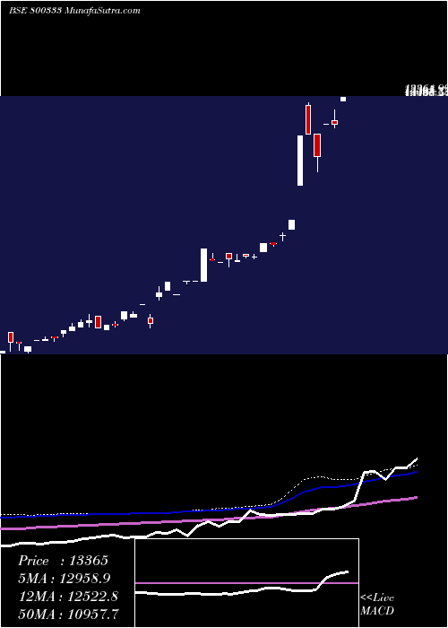  weekly chart Sgbfeb29