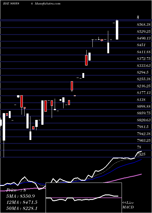  Daily chart SGBSEP29