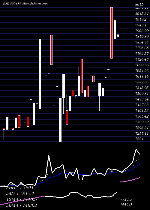  Daily chart Sgbjan30