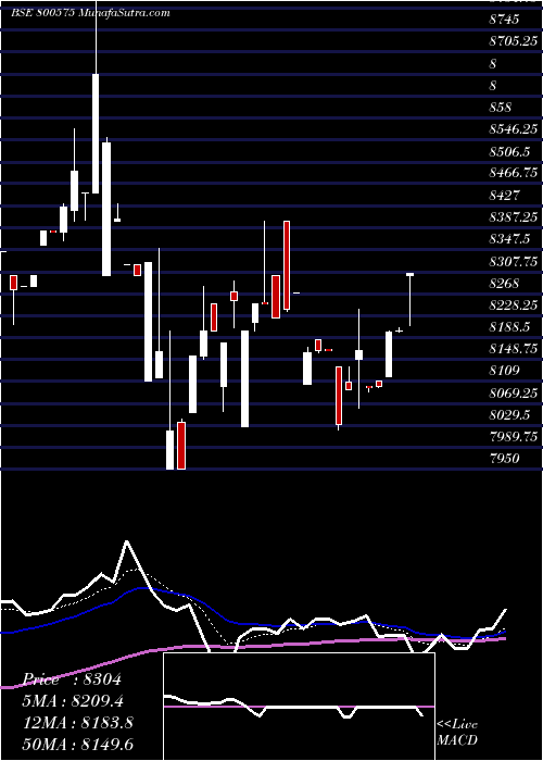  Daily chart Sgbmar31