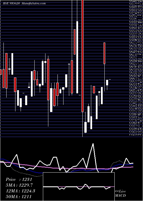  monthly chart 768ireda36