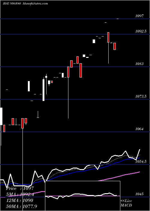  Daily chart 101JMFCSL23