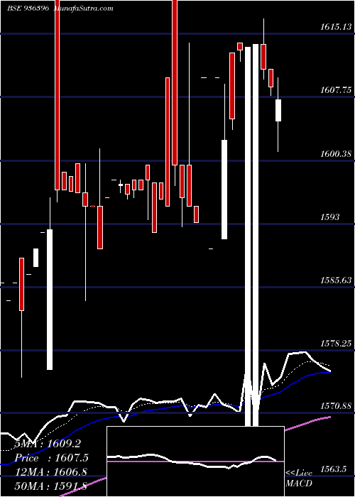  Daily chart EFL4JAN19A
