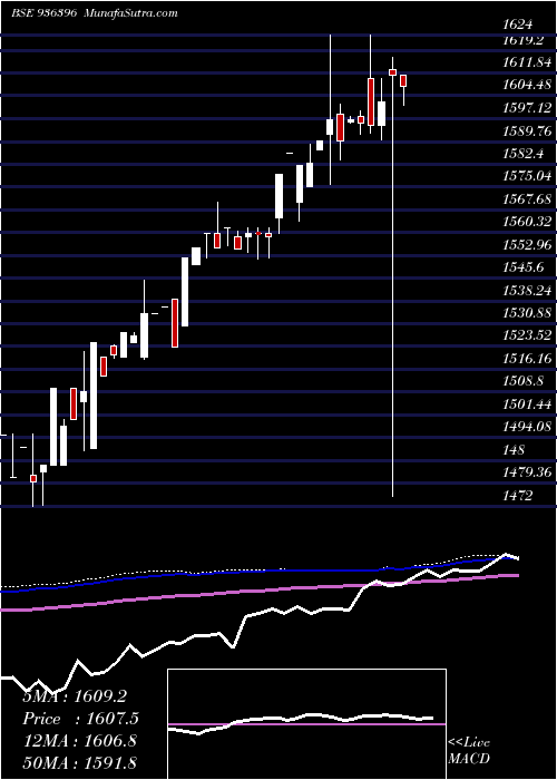  weekly chart Efl4jan19a