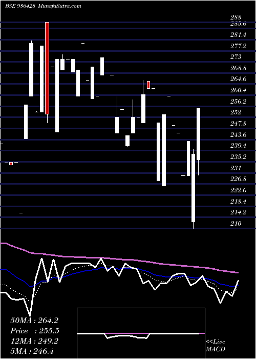  Daily chart 1005SEFL24