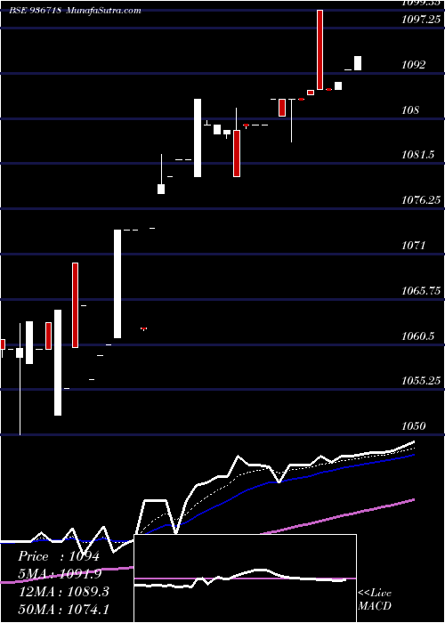  Daily chart 104efl24