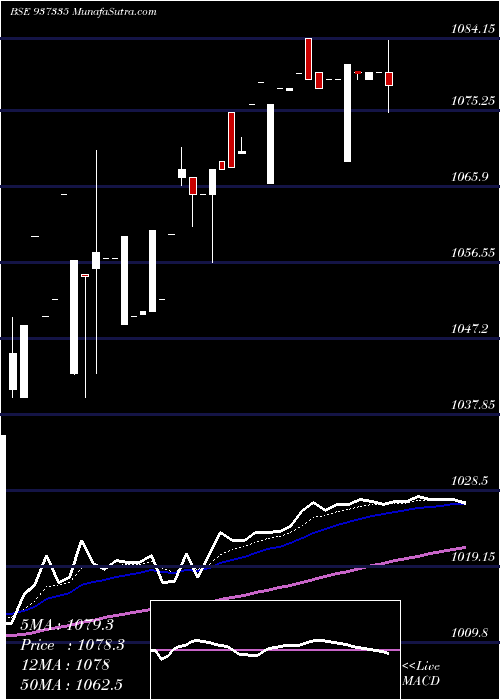  Daily chart 935EFSL24