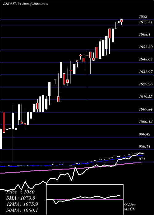  weekly chart 910efsl24