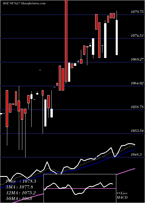  Daily chart 91EFSL24
