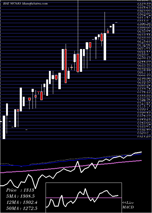  weekly chart Efs10sep21