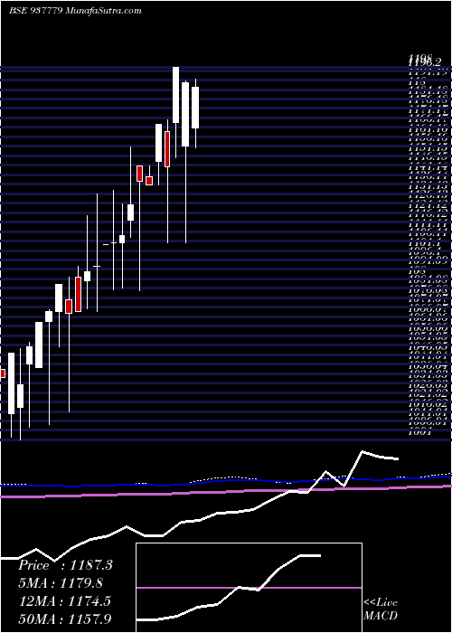 monthly chart Mfl291021