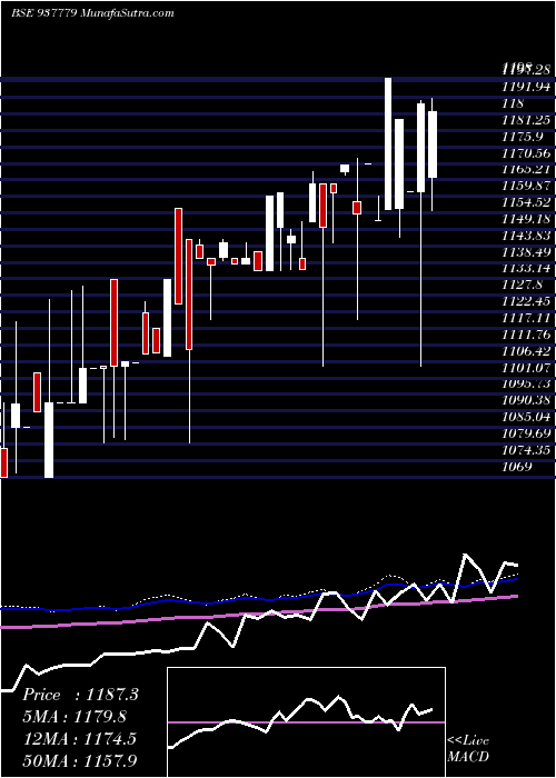  weekly chart Mfl291021