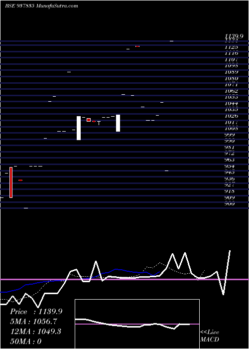  Daily chart ZCIHFL29