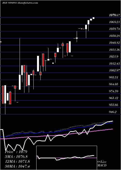  weekly chart 875ebl24