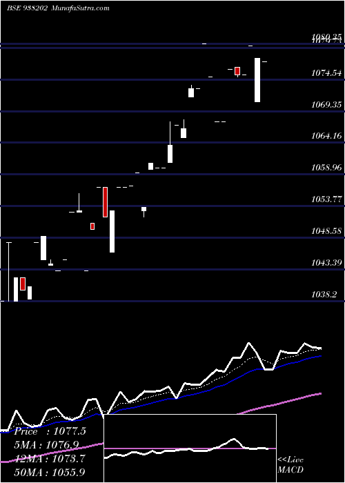  Daily chart 885efsl24