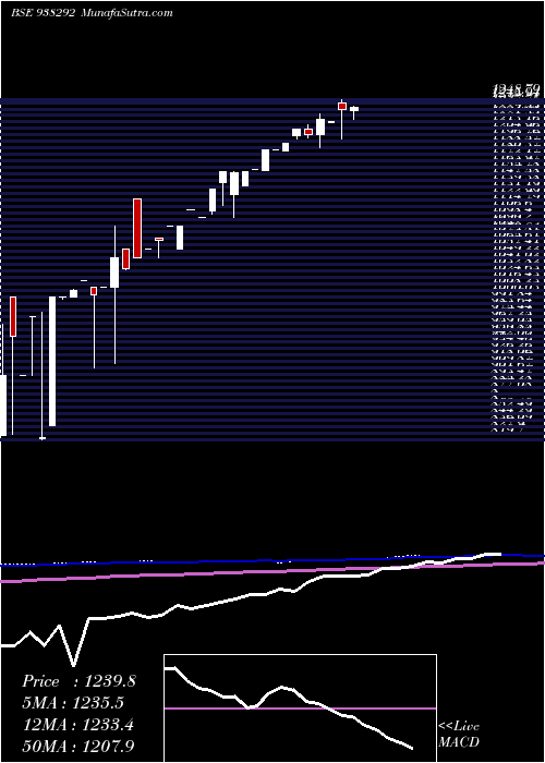  monthly chart Mfl231222