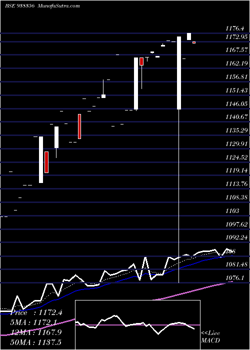  Daily chart ZCEFSL25