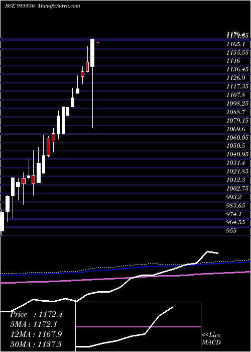  monthly chart Zcefsl25