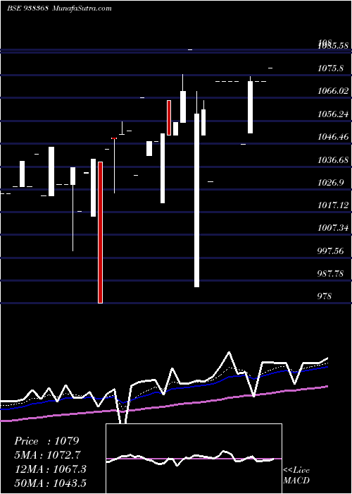  Daily chart ZCEFSL28