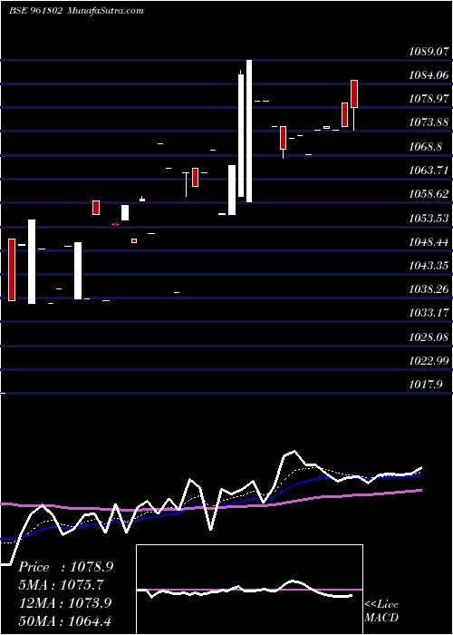  Daily chart 843PFC23