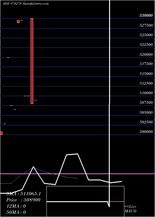  Daily chart 905cifcl31