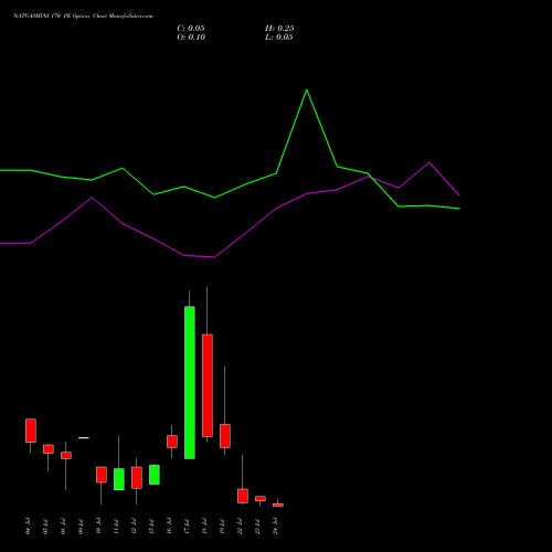 NATGASMINI 170 PE PUT indicators chart analysis  options price chart strike 170 PUT