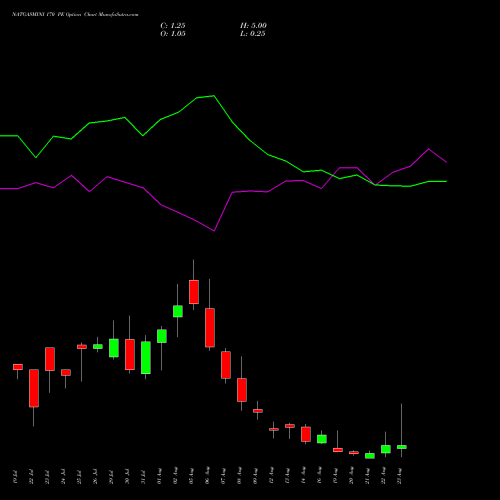 NATGASMINI 170 PE PUT indicators chart analysis  options price chart strike 170 PUT