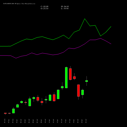 NATGASMINI 200 PE PUT indicators chart analysis  options price chart strike 200 PUT