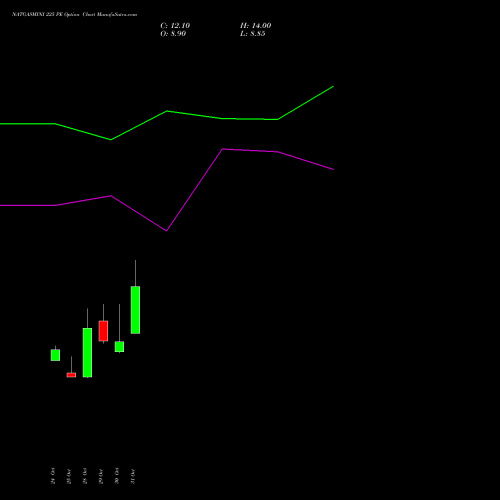 NATGASMINI 225 PE PUT indicators chart analysis  options price chart strike 225 PUT