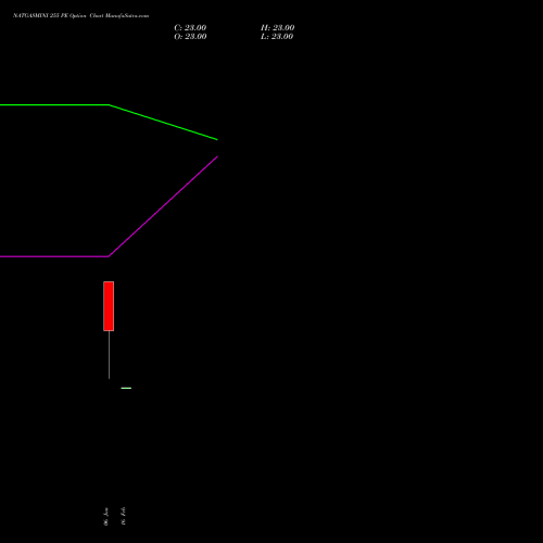 NATGASMINI 255 PE (PUT) 24 March 2026 options price chart analysis  