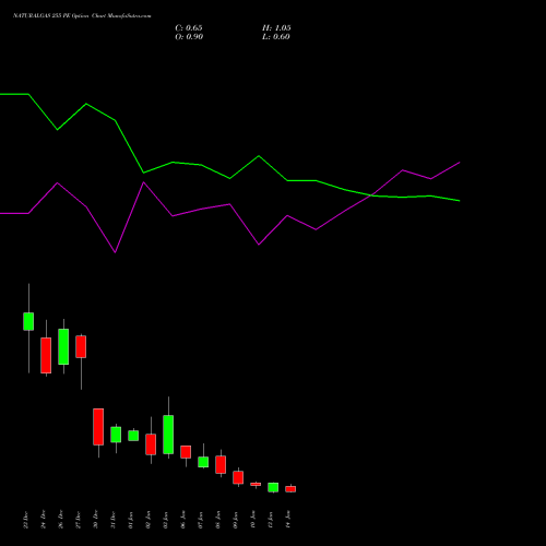 NATURALGAS 255 PE PUT indicators chart analysis NATURAL GAS options price chart strike 255 PUT