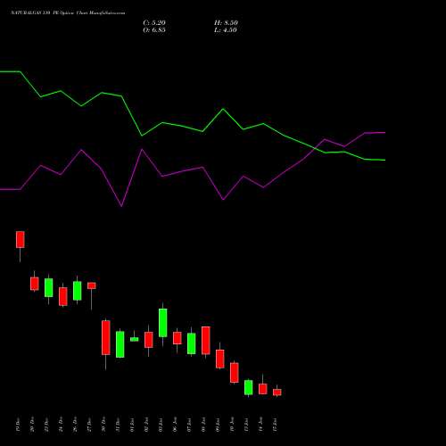 NATURALGAS 310 PE PUT indicators chart analysis NATURAL GAS options price chart strike 310 PUT