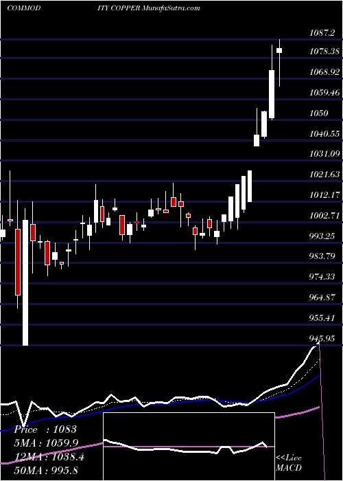  Daily chart CopperTamba